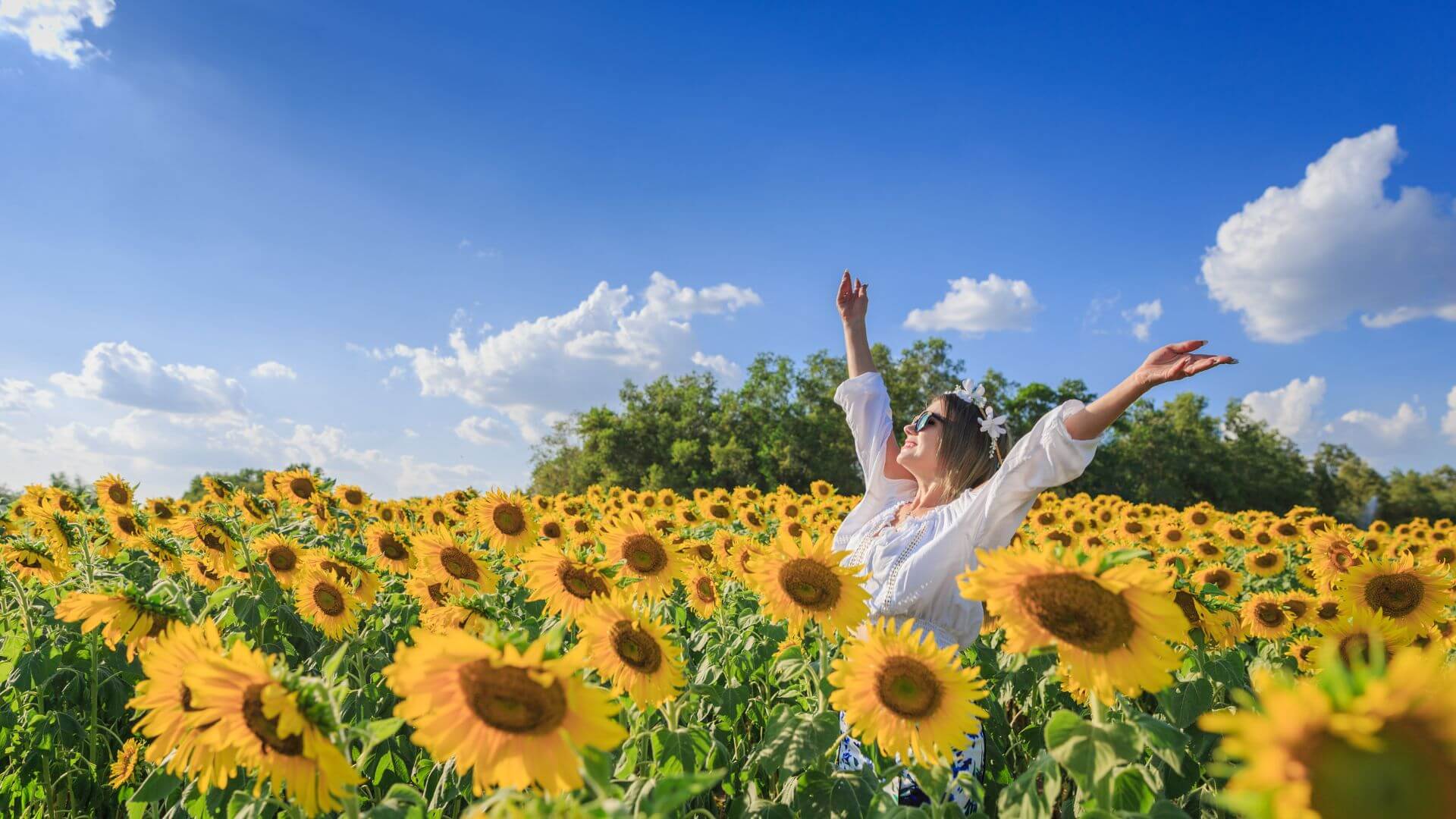 Guia Prático de Ho’oponopono